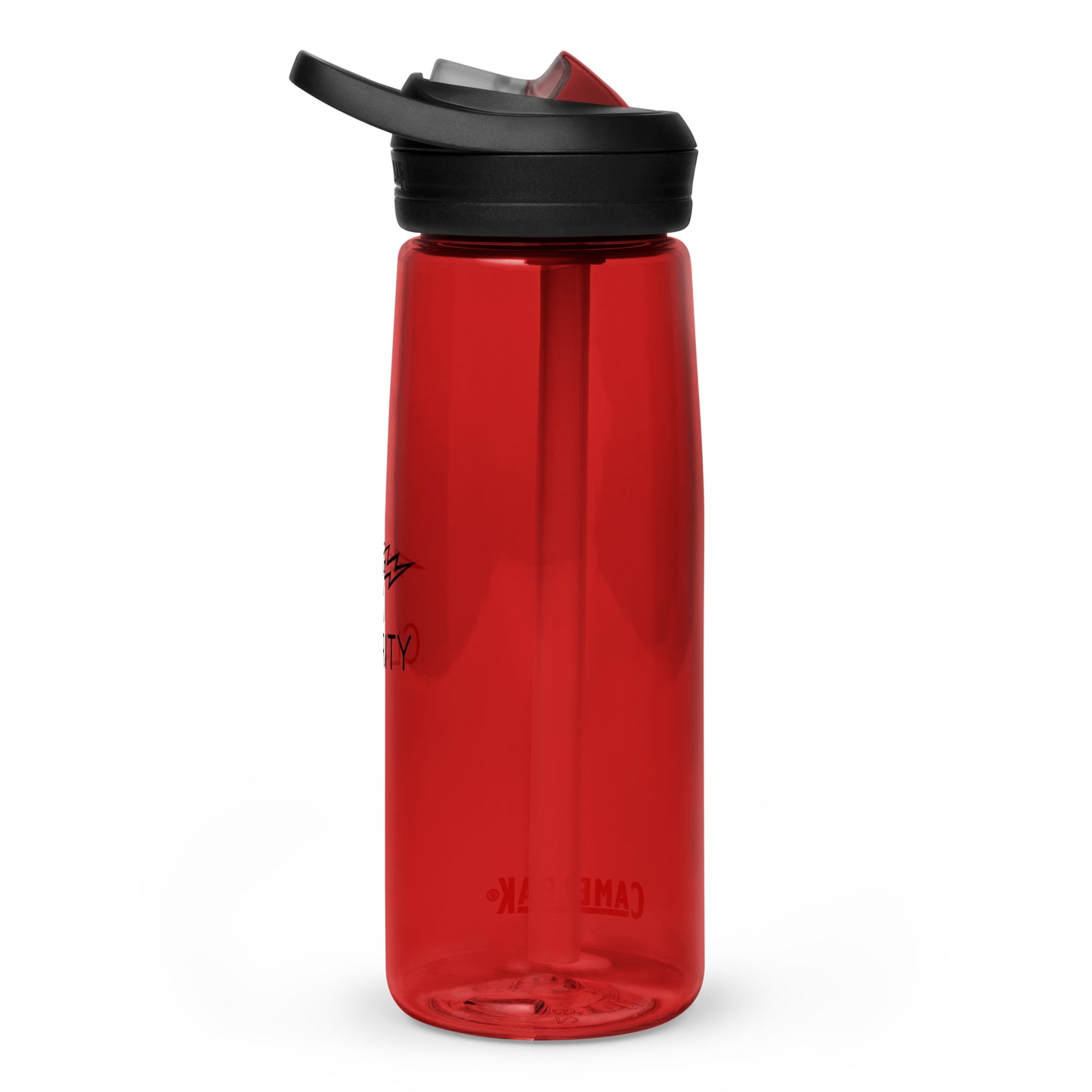 Sports water bottle