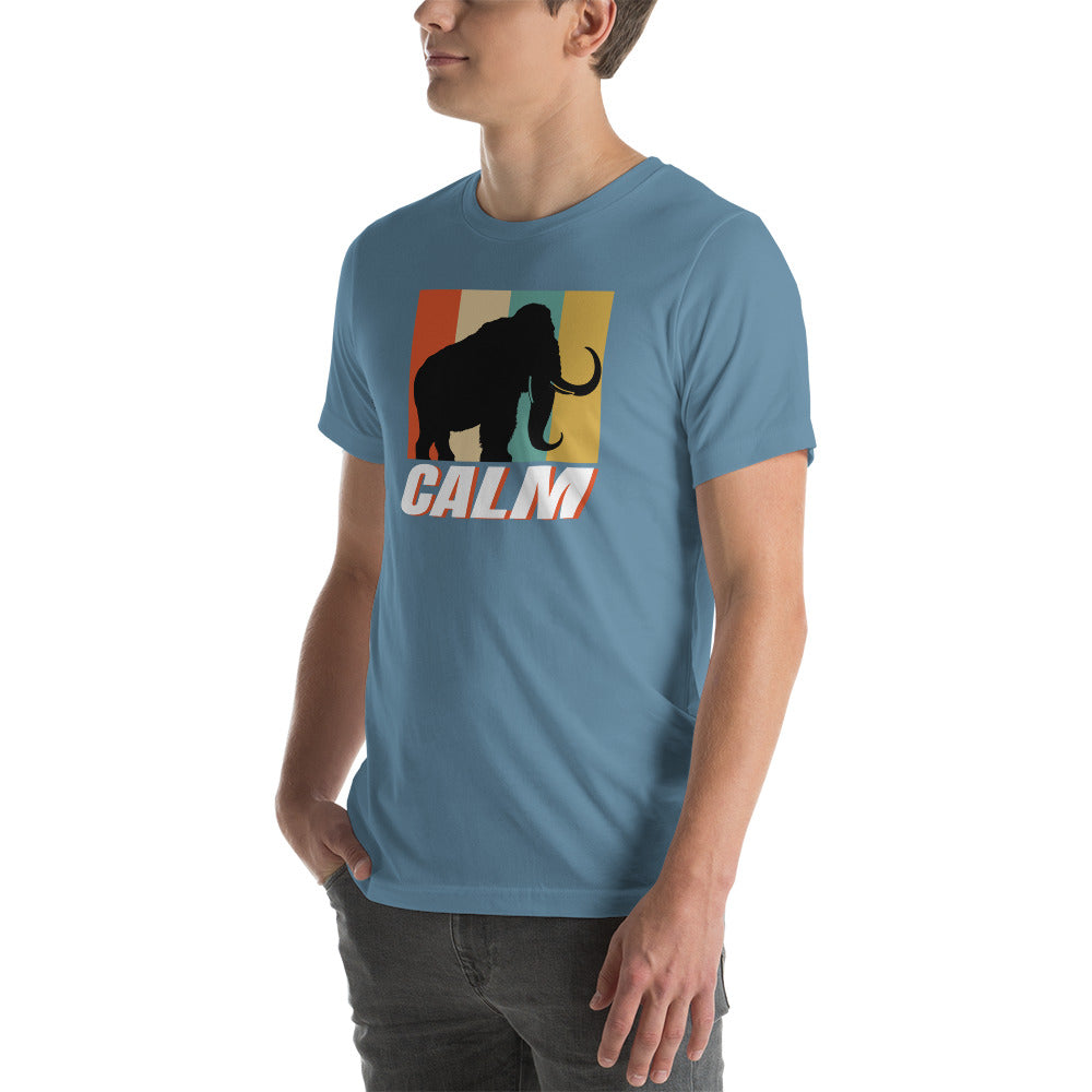 The Calm Retro Unisex t-shirt